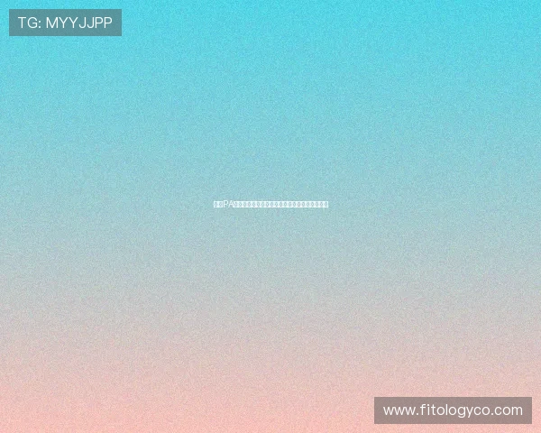 探索PA币游官网平台特色功能与安全保障策略全面解析