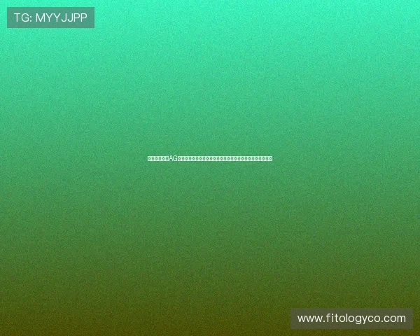 如何快速访问AG官方入口，确保账号安全并享受丰富的线上博彩娱乐内容指南