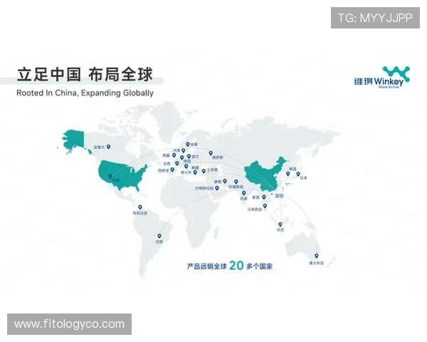 透视永乐国际PA在全球化背景下的战略布局