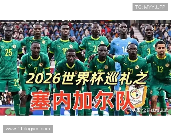2026年世界杯法国对塞内加尔比赛竞猜注意事项：投注前必读的赛事信息与风险控制策略